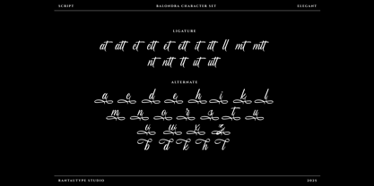 Balondra Font Poster 15