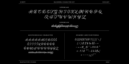 Balondra Font Poster 14