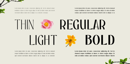 Gulons Edge Font Poster 2