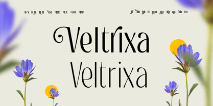 Gulons Edge Font Poster 3