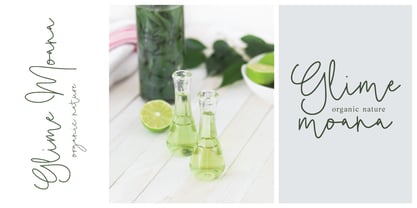 Badein Signature Font Poster 2