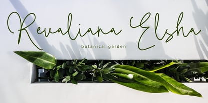 Badein Signature Font Poster 3