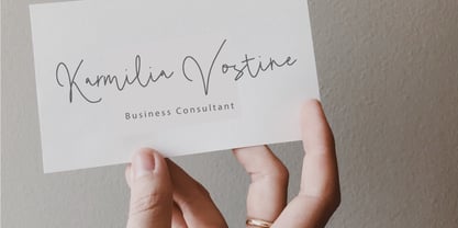 Badein Signature Font Poster 4