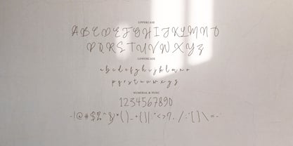Badein Signature Font Poster 7