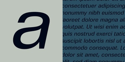 Cynosure Font Poster 2