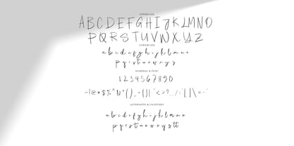 Relieved Signature Font Poster 6