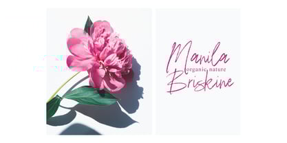 Hekian Signature Brush Font Poster 7