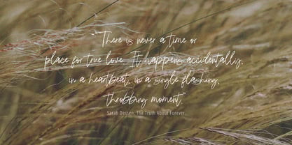 Hekian Signature Brush Font Poster 9