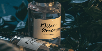 Anestica Font Poster 11