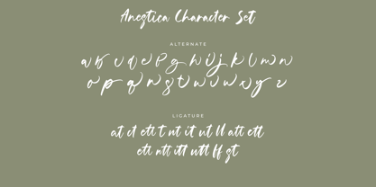 Anestica Font Poster 14