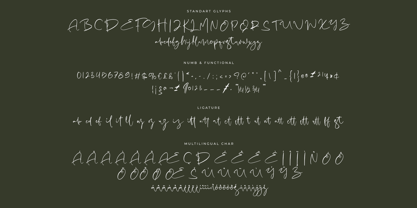 Billanty Font Poster 13