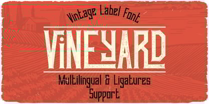 Vineyard Font Poster 1