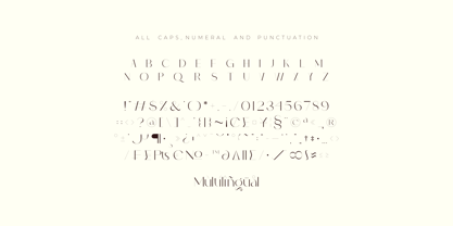 Monic Font Poster 11