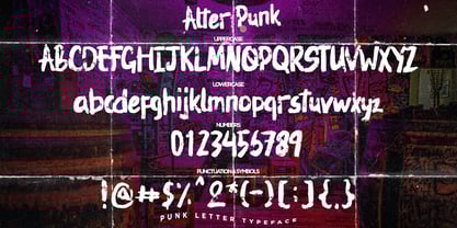 Alter Punk Font Poster 8