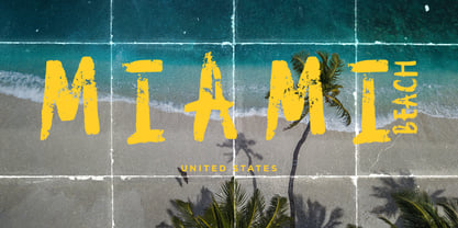 Alter Punk Font Poster 6