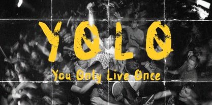 Alter Punk Font Poster 7