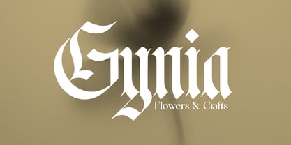 Fusing Font Poster 2