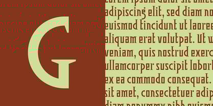Pitshanger Font Poster 4