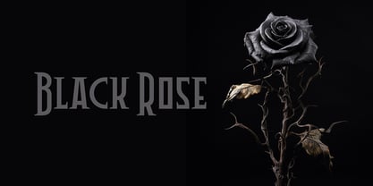 Pitshanger Font Poster 5