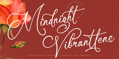 Mindnight Vibranttens Font Poster 1