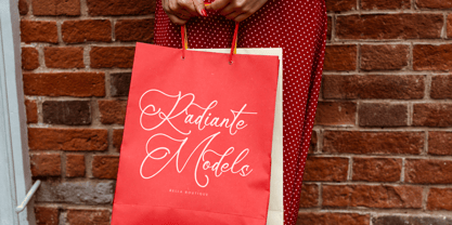 Mindnight Vibranttens Font Poster 7