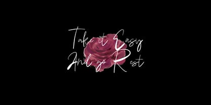 Daring Signature Font Poster 4