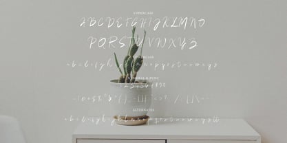 Daring Signature Font Poster 7