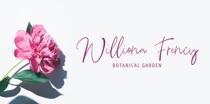 Daring Signature Font Poster 5