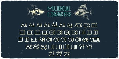 Weird Fish Font Poster 5