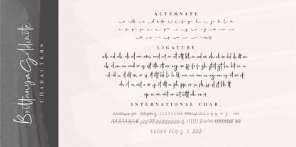 Brittanya Goldenite Font Poster 10