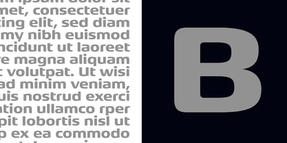 Neuropa Font Poster 7
