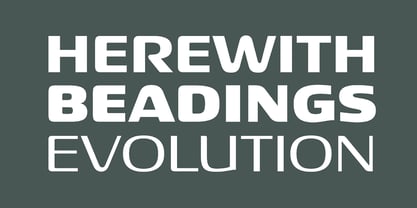 Neuropa Font Poster 5