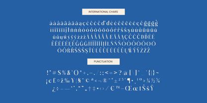 Gotten Summer Font Poster 15