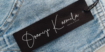 Bistye Signature Font Poster 9