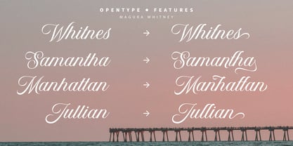 Magura Whitney Script Font Poster 8