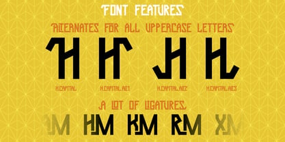 Power Punch Font Poster 5