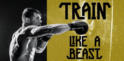 Power Punch Font Poster 4