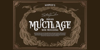 Gokil Nova Font Poster 3