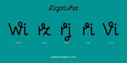 Kokoro Font Poster 12