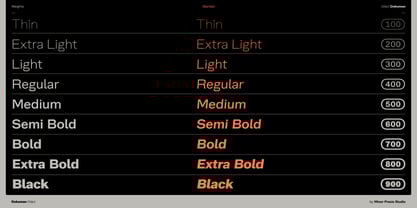 Dokuman Font Poster 13