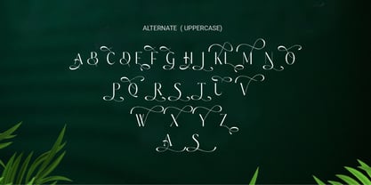 Belavey Font Poster 7