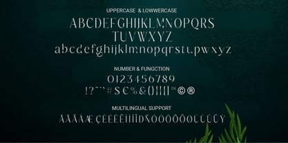 Belavey Font Poster 8