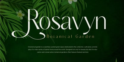 Belavey Font Poster 2
