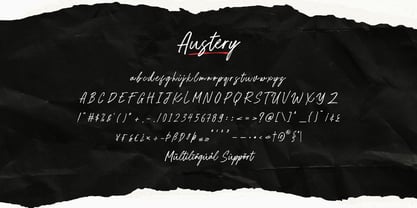Austery Brush Font Poster 12