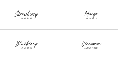 Austery Brush Font Poster 9