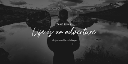 Austery Brush Font Poster 4