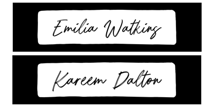 Austery Brush Font Poster 7