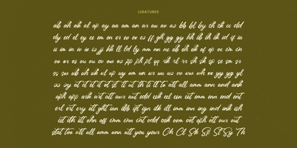 Omanik Chinta Font Poster 14