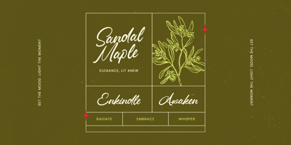 Omanik Chinta Font Poster 2