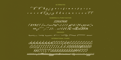 Omanik Chinta Font Poster 15